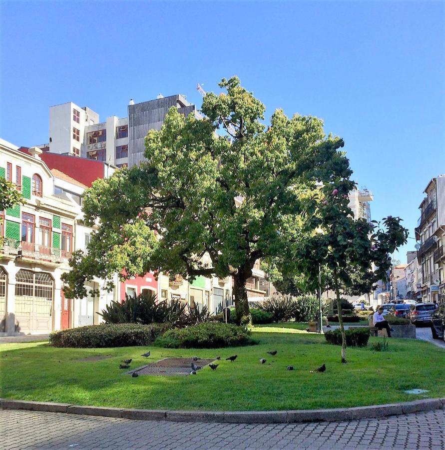 Downtown Relaxed With Private Yard Apartamento
